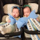 나들 | 시부모님 생신이벤트 아기화환 인간화환 나들꽃 구매후기!