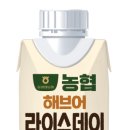 라이스데이