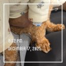 김현태김동민 동물의료센터 | 다대포(낫개)원정대 a.k.a 김현태김동민동물의료센터 그리고 맛나감자탕