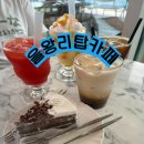 체리애견 | [을왕리탑카페] 오션뷰 애견 동반 - 내돈내산 솔직후기 : 체리초코케이크, 망고요거트스무디, 수박주스