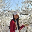 봉황교 주차장 이미지