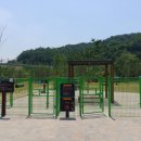 애견운동공원 이미지
