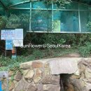 산복약수터 네이버블로그