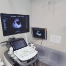 가톨릭비뇨기과의원 이미지