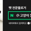 진선동물병원
