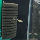 피쉬갤러리 천안점 이미지