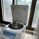 H1850 네이버블로그