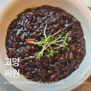 씨원 | 고양시 성석동 맛집 씨원 ｜ 가성비 내돈내산 탕수육 짜장면 솔직후기