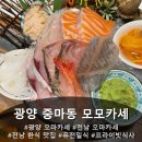 강남병원 | 광양 오마카세 맛집 모모카세 아기랑 솔직후기