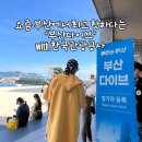씽크리에이티브 | 부산 프리다이빙 비교 포인트 체크 드랍더다이빙 선택 이유