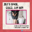 옵티마대학약국 | [갱년기 하복통, 요실금, 소변 불편] 스트레스로 생식기가 무너진다. (과민성 방광 vs 방광염 구분)