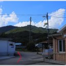 도산리경로당 네이버블로그