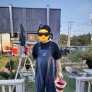 쉘비치 | [내돈내산] 서해(청포대, 몽산포) 첫 해루질 체험, 준비물 - 쉘비치펜션 후기