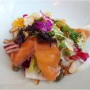 감선호취 이미지