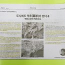 약초당한약국 이미지