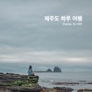 제주도 하루 여행, 킴스제주의 단독 프라이빗 자유 투어 이용 후기 (마이리얼트립)