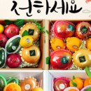 달;프룻