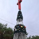 강원특별자치도남단에 위치한 동해市 1泊2日관광명소(망상해변.무릉별유천지.묵호 논골담길벽화)를 찾아서.일부구간은 동해시티투어버스이용 이미지