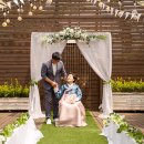 파티오-25 이미지