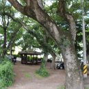 일구공인중개사사무소 이미지