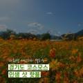 서은엔지니어링주 이미지