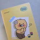 카카오프렌즈 춘식이 다이어리 | 만년형 먼슬리 플래너 후기