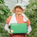농업회사 감농원 네이버블로그