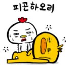 가야경 이미지