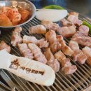 시온성하우스 | 중문 흑돼지 맛집 까망돼지 중문점 제주도 여행 먹거리 서귀포 저녁식사 식당 추천