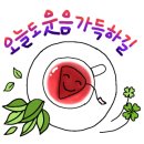 내머리어때 이미지