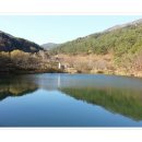 일암다리 이미지