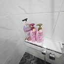 수피아라 B 이미지