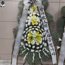은하수플라워