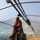 칠서파출소 이미지