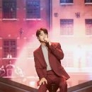 초이스 컷