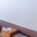뚱보신발