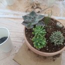 예곡리마을회관 이미지