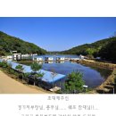 지곡낚시터 | 지곡낚시터(지곡지) 번출 후기 - 군계일학 경기지부