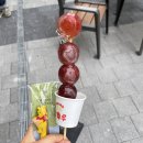 [탕정역 간식 추천] 드디어 집주변에 탕후루집이 생겼어요!! 탕정역 왕가탕후루 내돈내산 후기