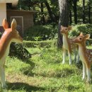 내정 어린이공원 이미지