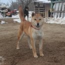 김종덕농장 이미지