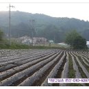 노고지리펜션 이미지