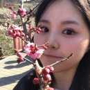 하동땅콩상회 | 매화축제 나들이 · ̊✿ 。⋆ ✿. •