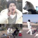 안수영농장 스타투데이