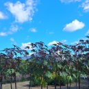 미사경정공원 이미지