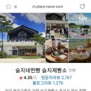 솔지네 이미지