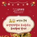 꿀벌유치원 이미지