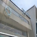 포항 두호동 영일대 맛집 환여횟집 물회 내 돈 내산 후기