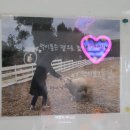 유상목장 이미지