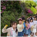 시나기봄음악미술영수학원 | 용인영어학원 아이들의 성장과 꿈을 키우는 시나기 학원 후기
